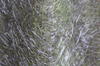 Kingstown fibreglass roof work